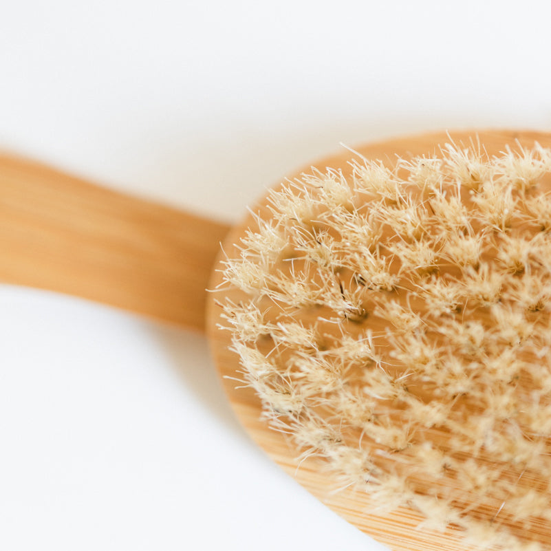 Wooden Dry Brush with Removable Handle